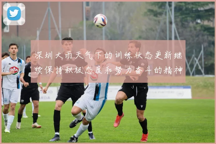 深圳大雨天气下的训练状态更新继续保持积极态度和努力奋斗的精神