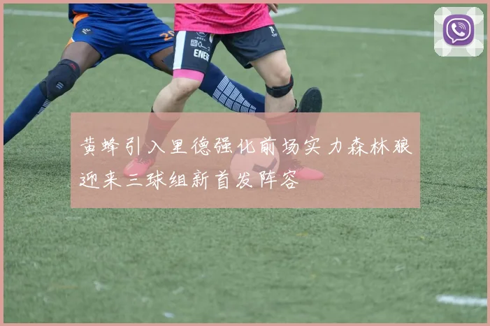 黄蜂引入里德强化前场实力森林狼迎来三球组新首发阵容